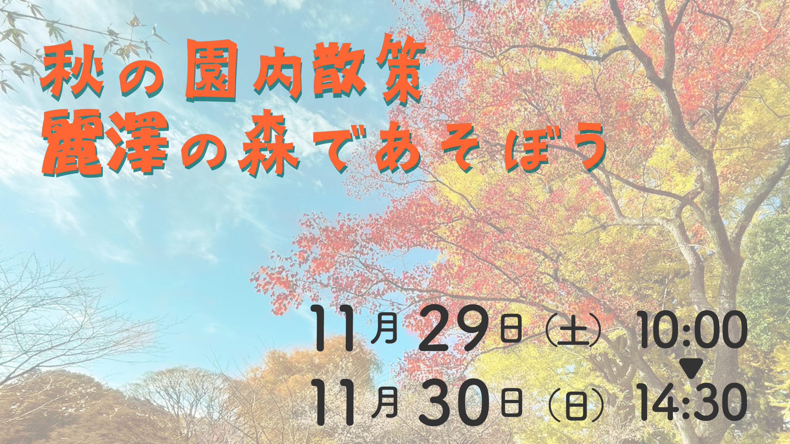 2025秋の園内散策